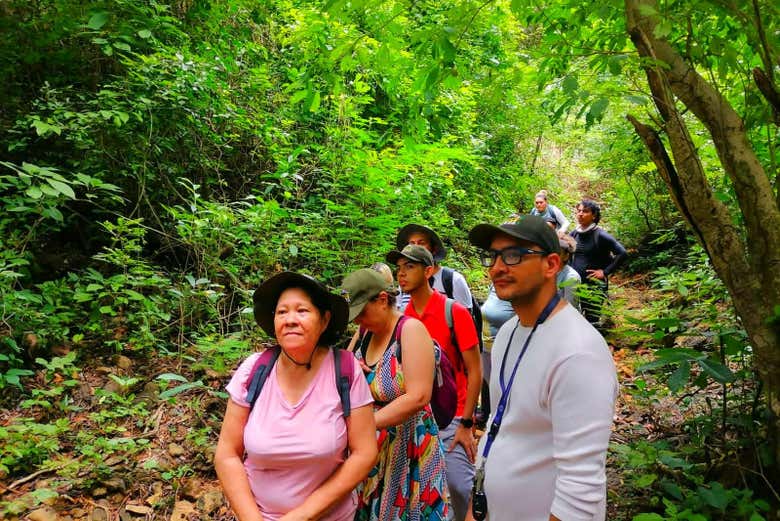 Enjoy a walk through nature