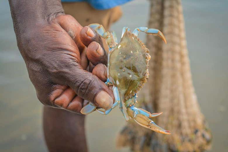 Découvrez la faune locale
