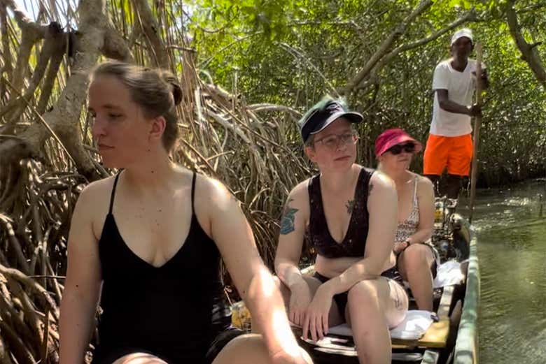 Ride through the mangroves
