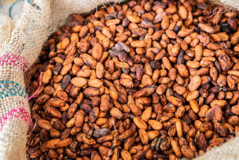 Granos de chocolate
