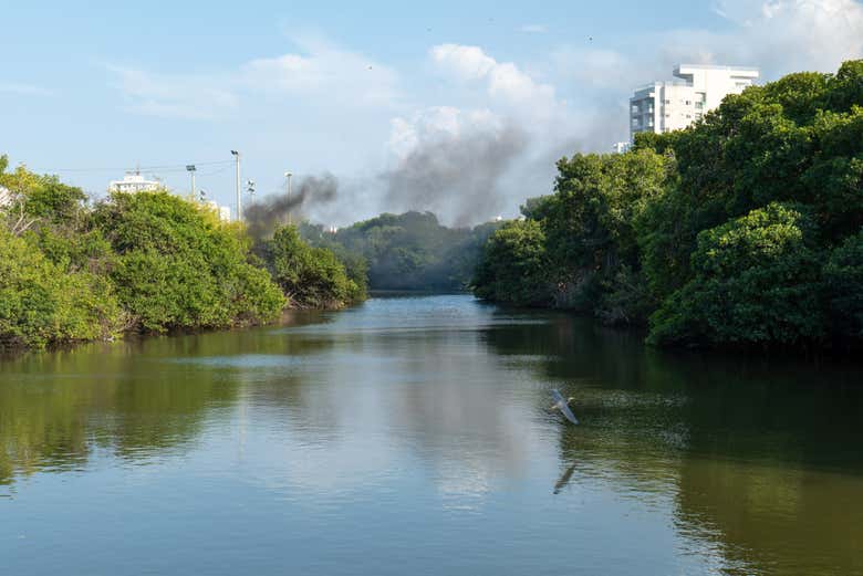 Navegaremos por una gran zona de manglares