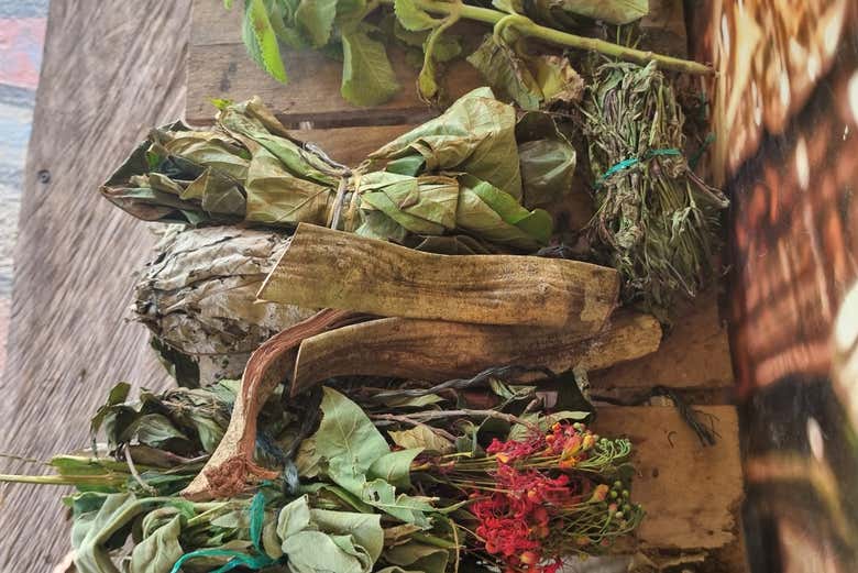 Diferentes medicinas naturales