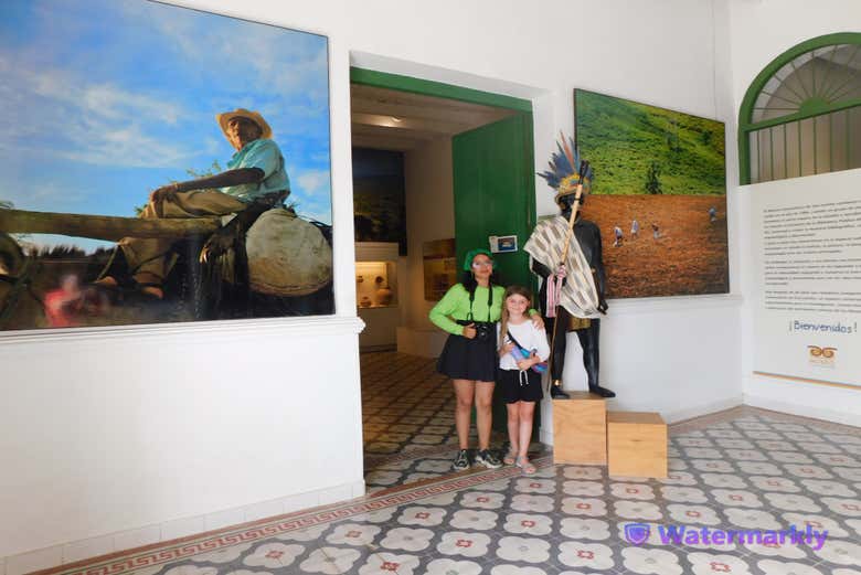 Walk through different exhibits