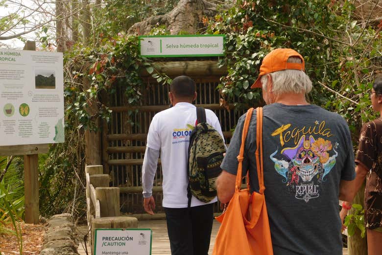 Aviary with tropical rainforest climate