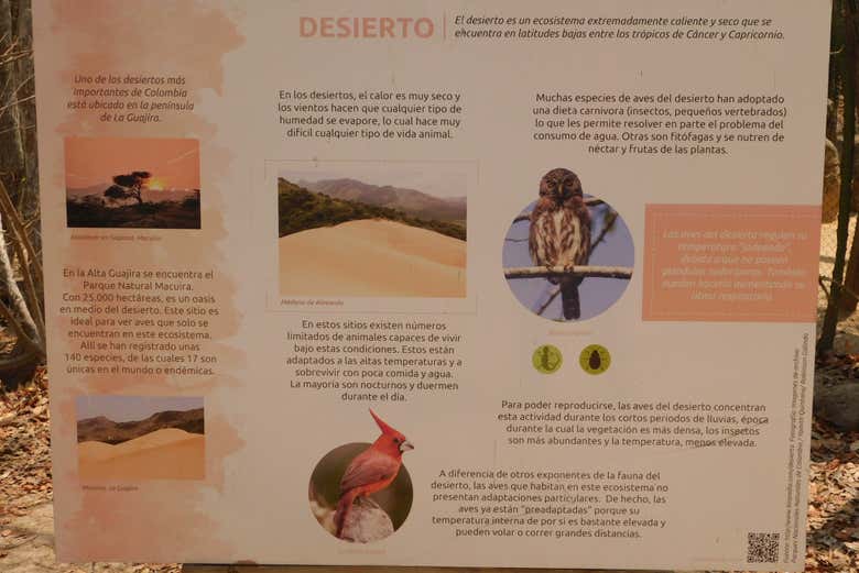 Information on the tour