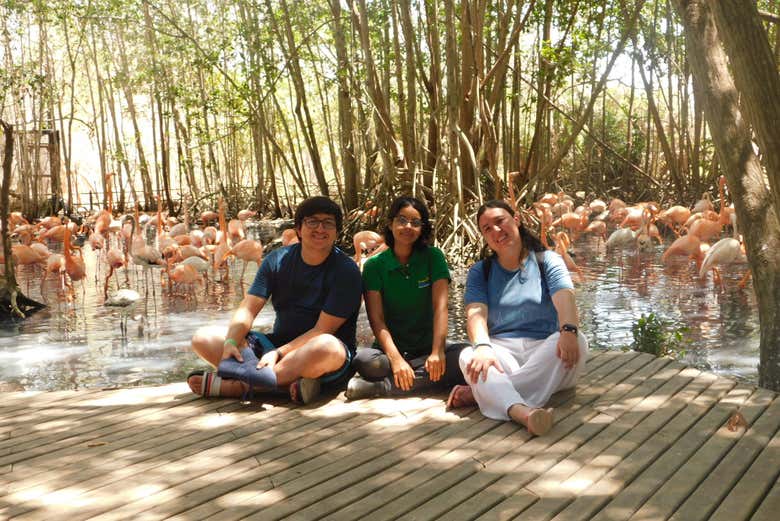 Group photo with flamingos
