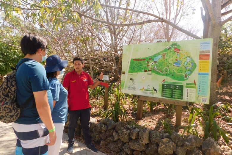 Listening to the guide