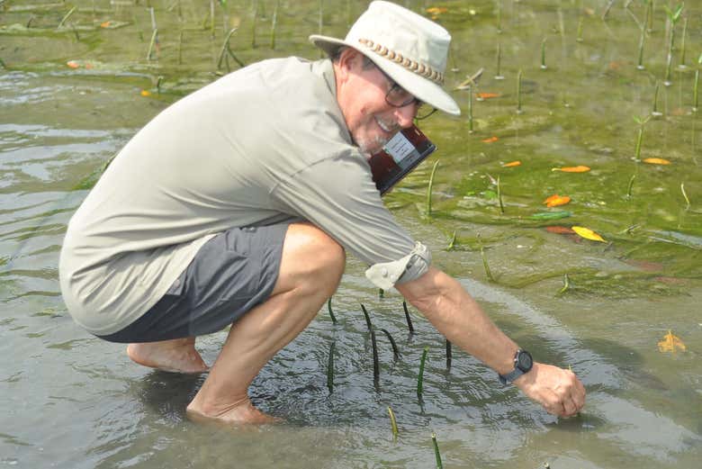 Participate in the mangrove conservation project