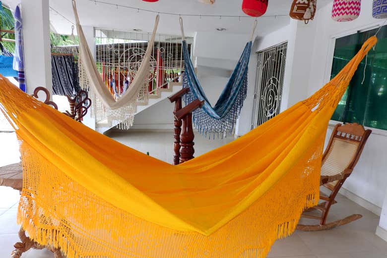 Typical hammocks of San Jacinto