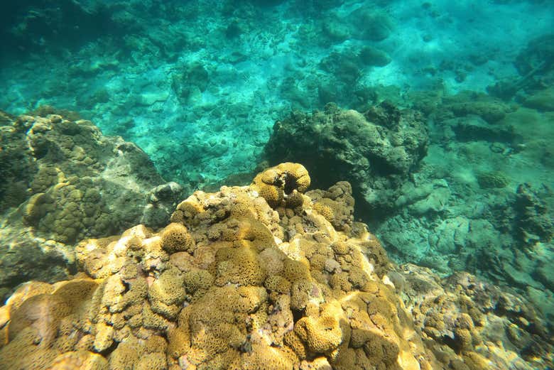 Alla scoperta dei fondali marini di Baru