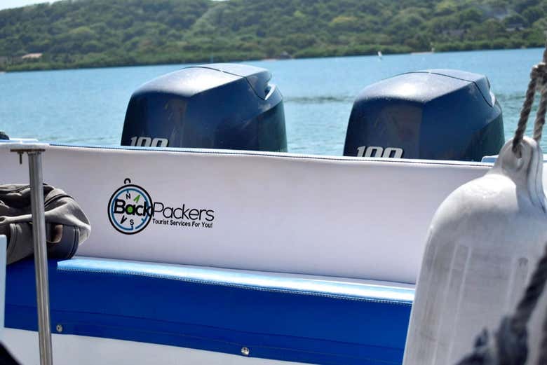 I motori della barca