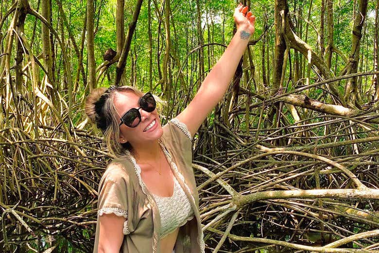 Acercándonos a los manglares