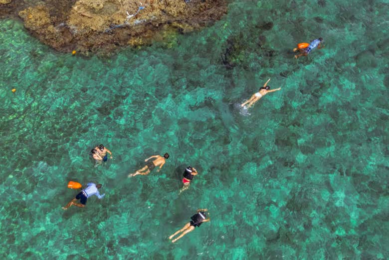 Nadando por el mar caribe