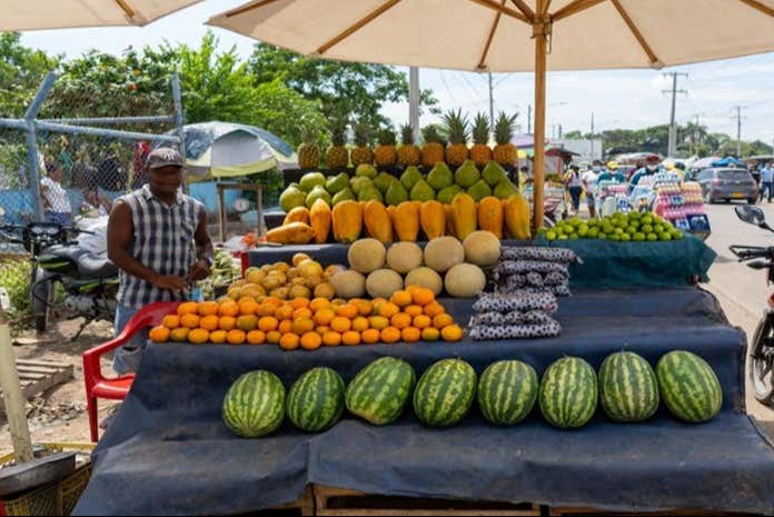 Fall in love with the fresh ingredients