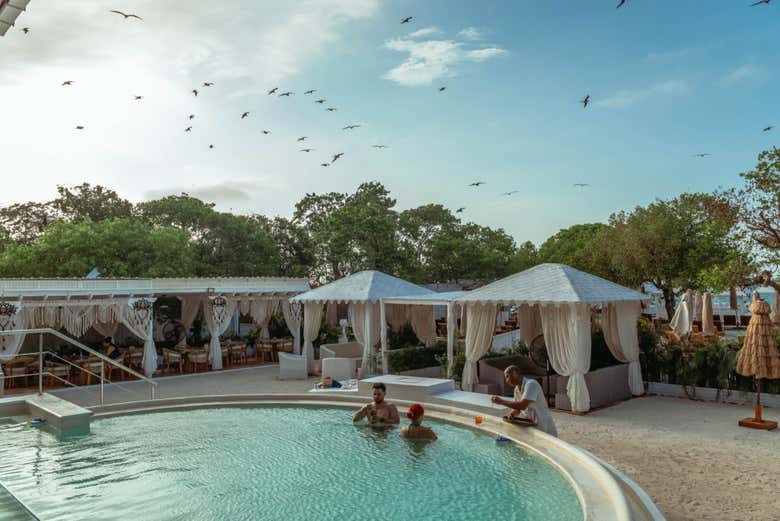 Día de piscina