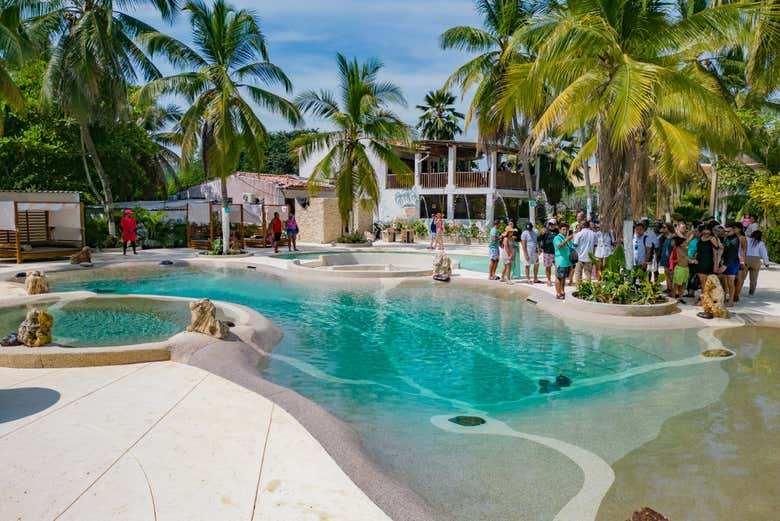 As instalações do Palmarito Beach