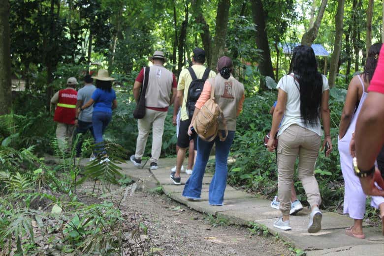 Wander around the botanical garden