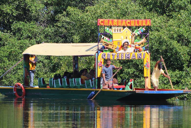 Remando entre los manglares de Cartagena