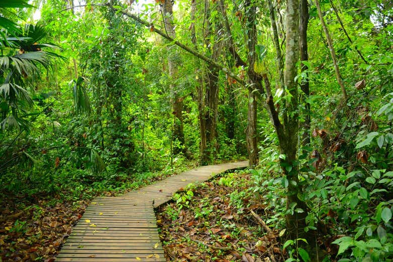 Connect with nature