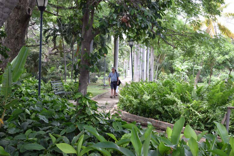 Conociendo los encantadores rincones de Colombia