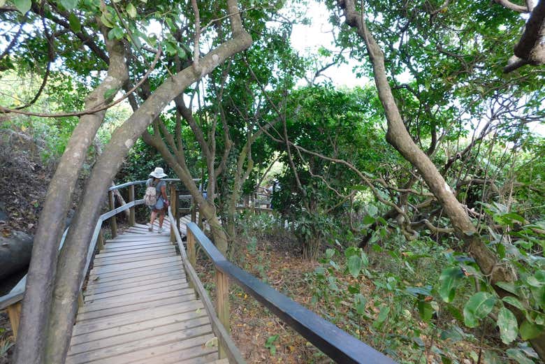 Percorrendo i sentieri di Tayrona