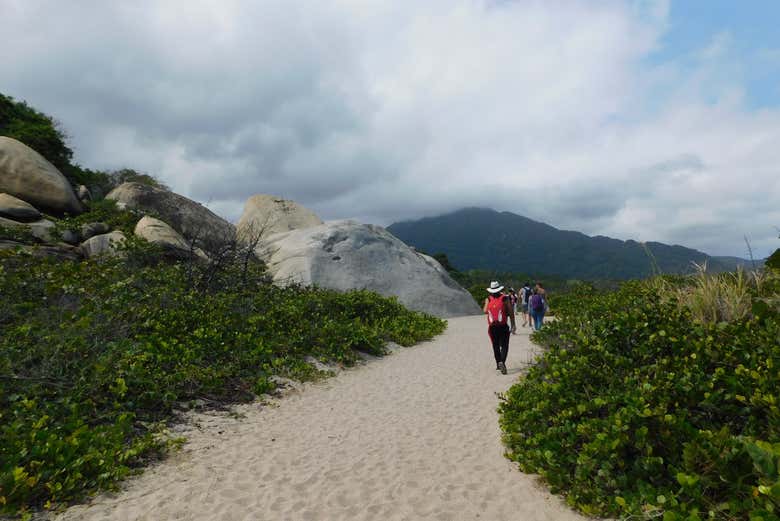Ammirando la natura del parco di Tayrona