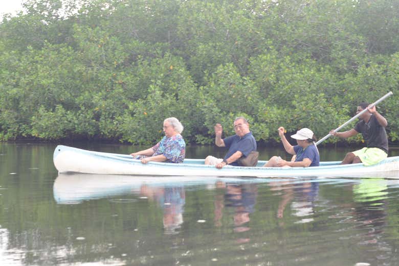 Passeio de barco entre os manguezais