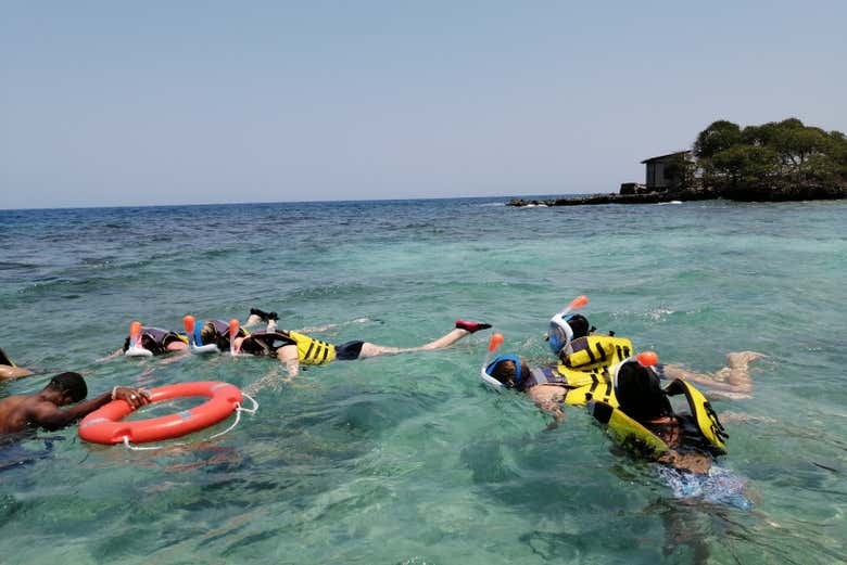 Scoprendo la biodiversità marina di Barú