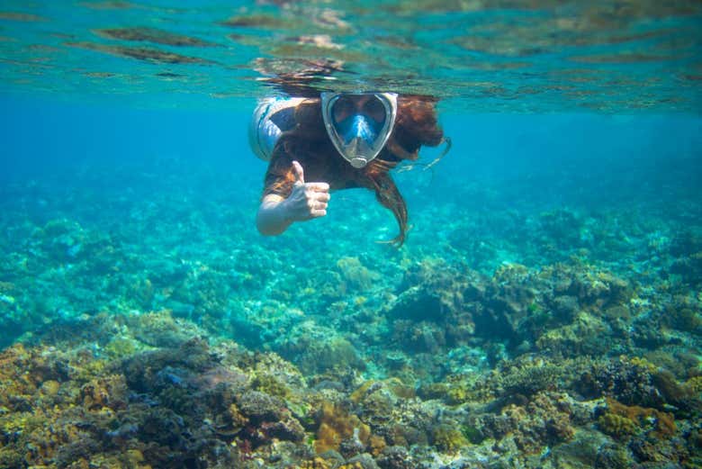 Snorkeling nella Penisola di Barú