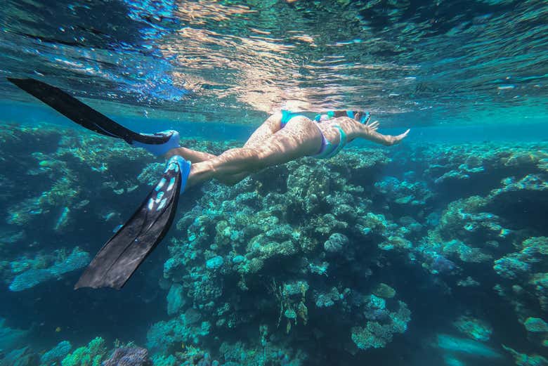 Praticaremos snorkel entre recifes de corais