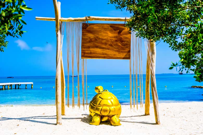 Get ready to relax