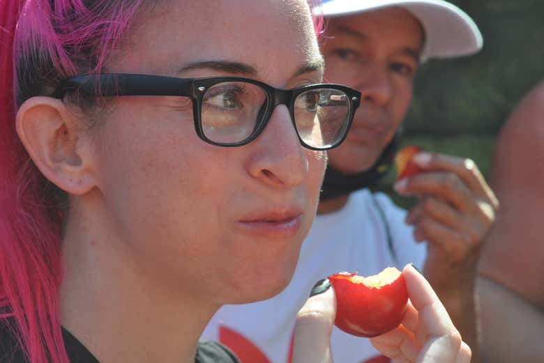 Degustazione di frutta