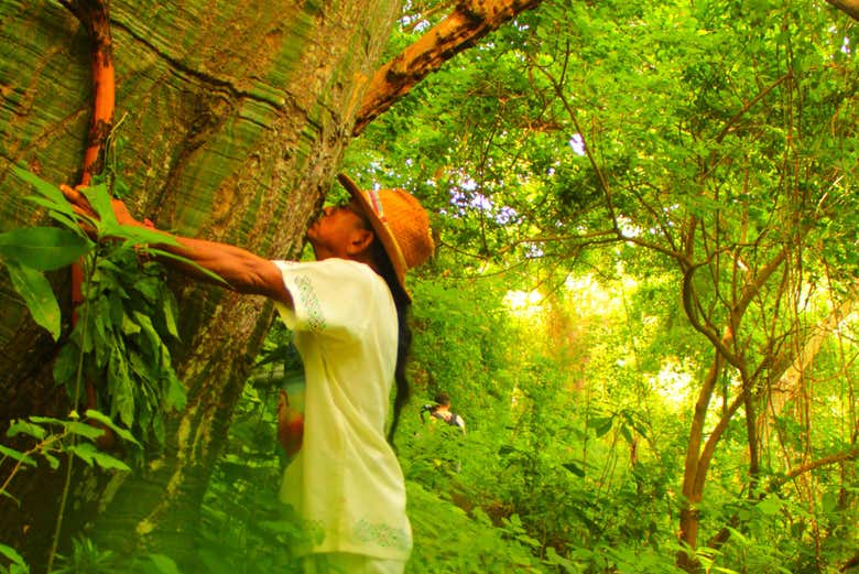 Conectando con la naturaleza