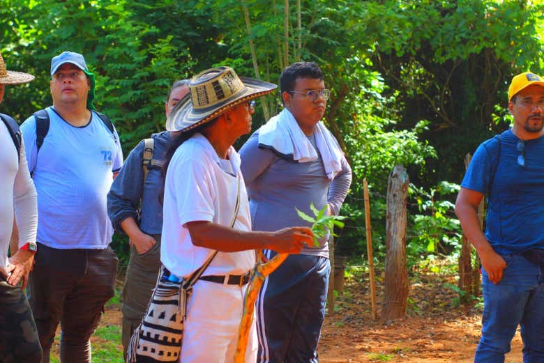 Learn about local culture and traditions