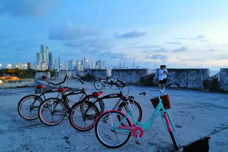 Le bici dell'attività