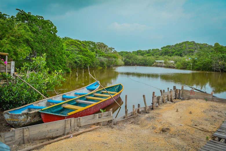 Vue panoramique sur les mangroves