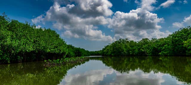 Visite à la découverte des mangroves de Carthagène