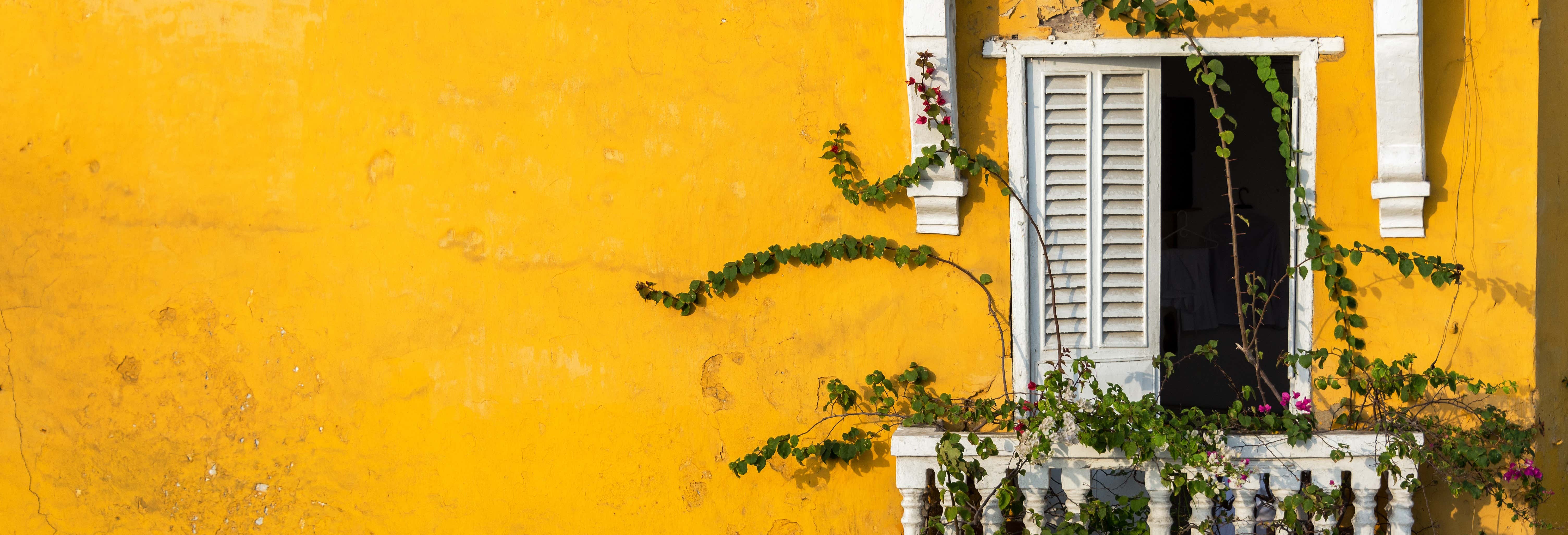 Visite guidate e free tour a Cartagena de Indias