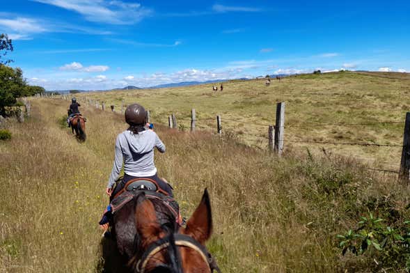 Excursión a caballo a la laguna de Suesca