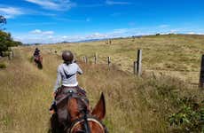 Lake Suesca Horse Riding Tour