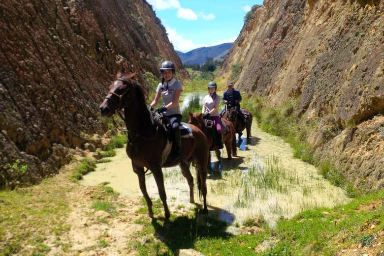 Preparados para la ruta