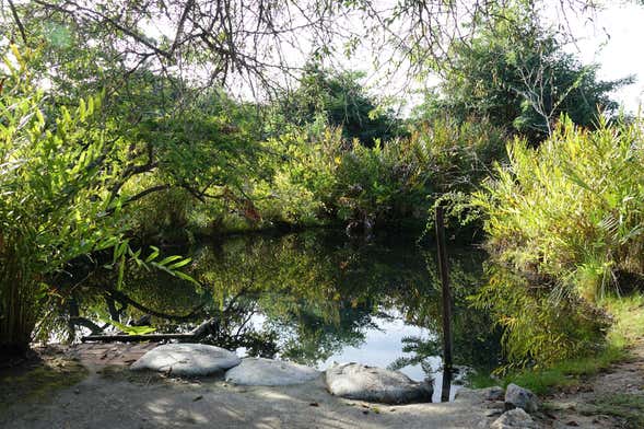 Excursión a las termas El Volcán