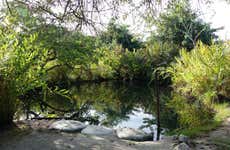 Excursión a las termas El Volcán