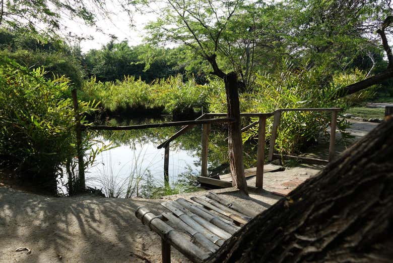 Escaleras para entrar a las termas