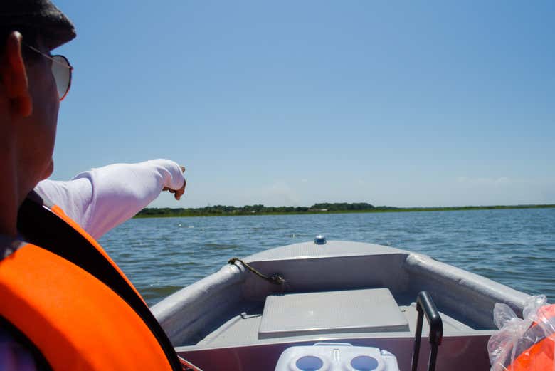 Disfrutando del avistamiento de aves