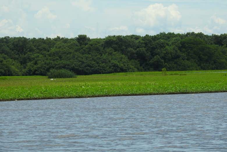 Disfrutando del paseo en barco
