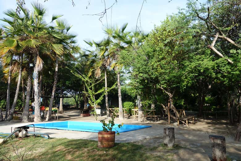 Piscina en el área de descanso