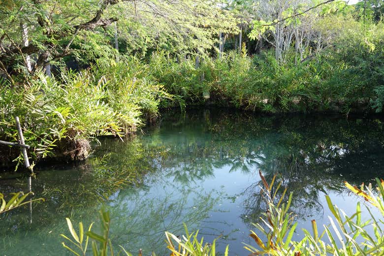 Termas El Volcán
