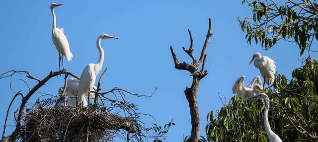 Trilha pela Via Parque Ilha de Salamanca