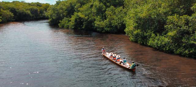 Balade en bateau dans le marais de La Caimanera